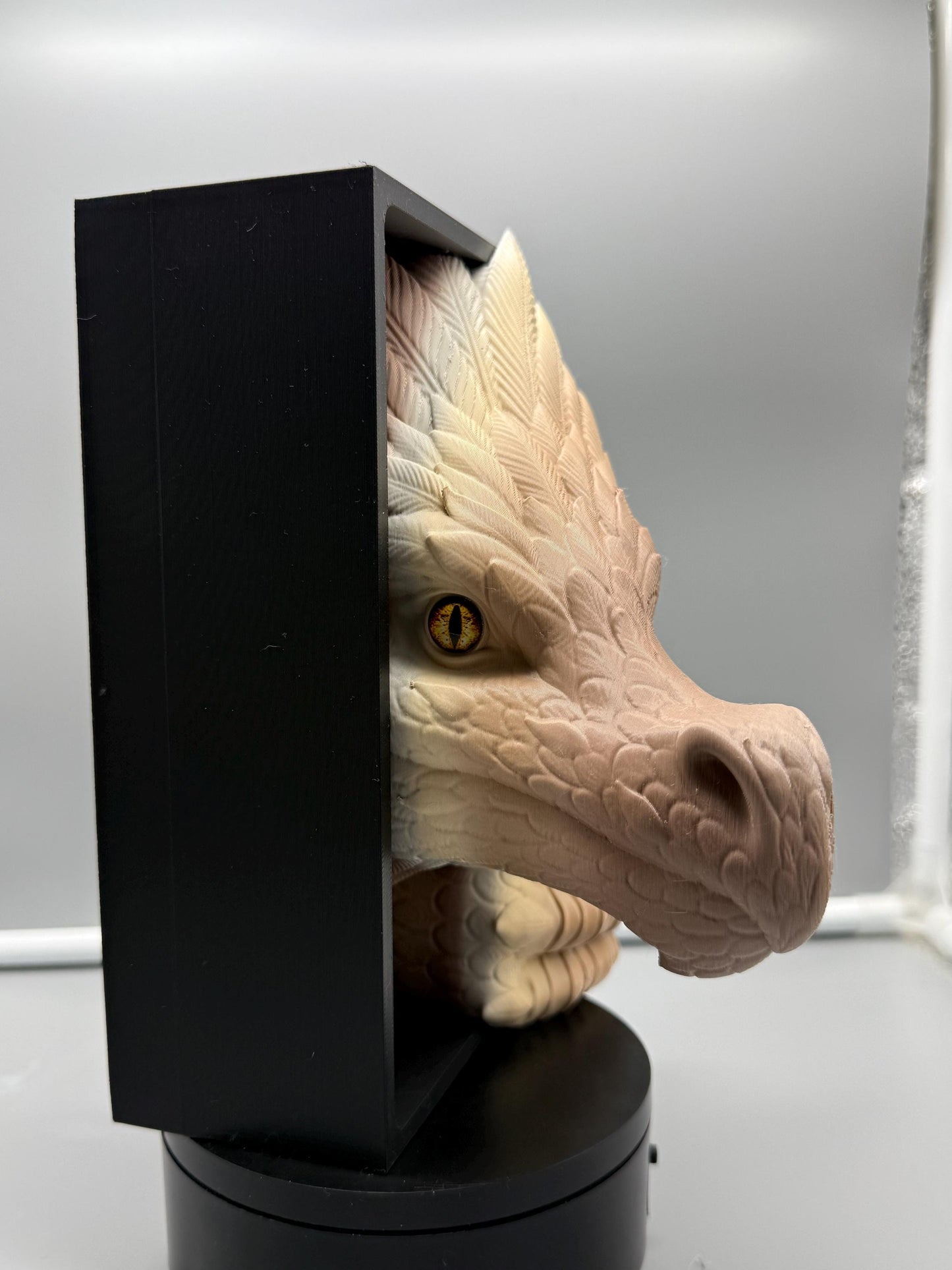 Feathered dragon bookend | fantasy bookshelf decor | dragon romantasy bookish gift | 8" library shelf insert