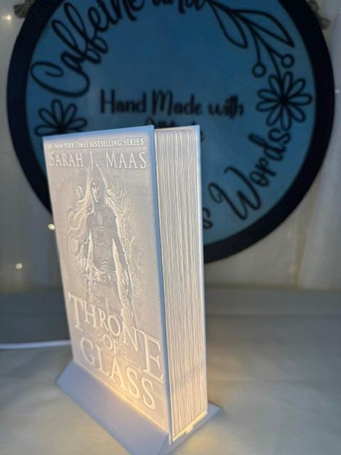 Fae Assassin Lithophane Book Lamp | Throne of Glass Decor | Book Nook